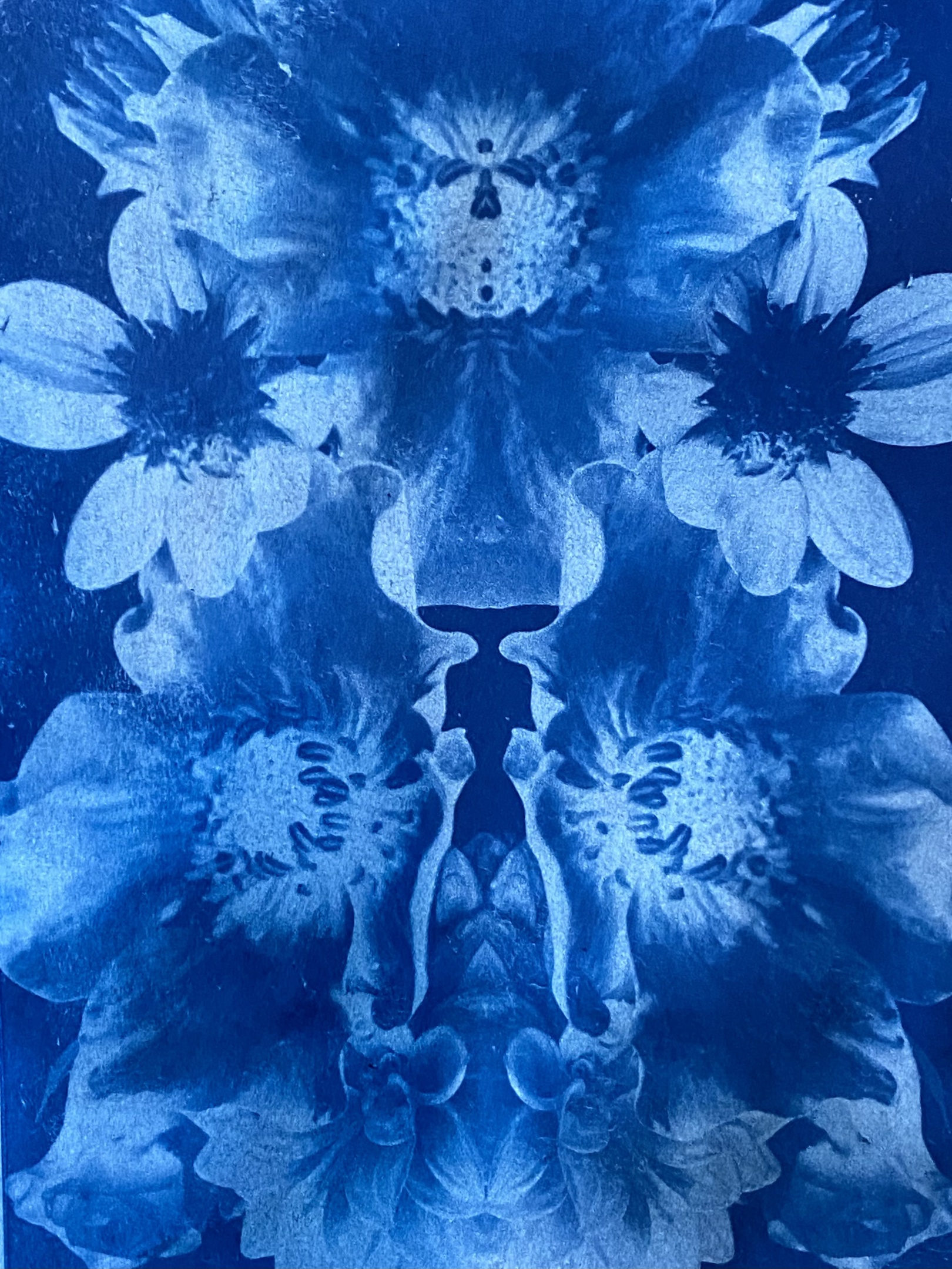 Cyanotypes